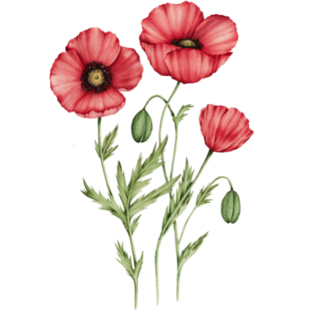 vlci_mak2.png